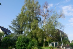 P1000595
